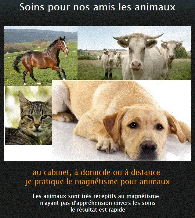 Magnétisme pour animaux